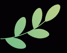 <b>营制稠密围</b>